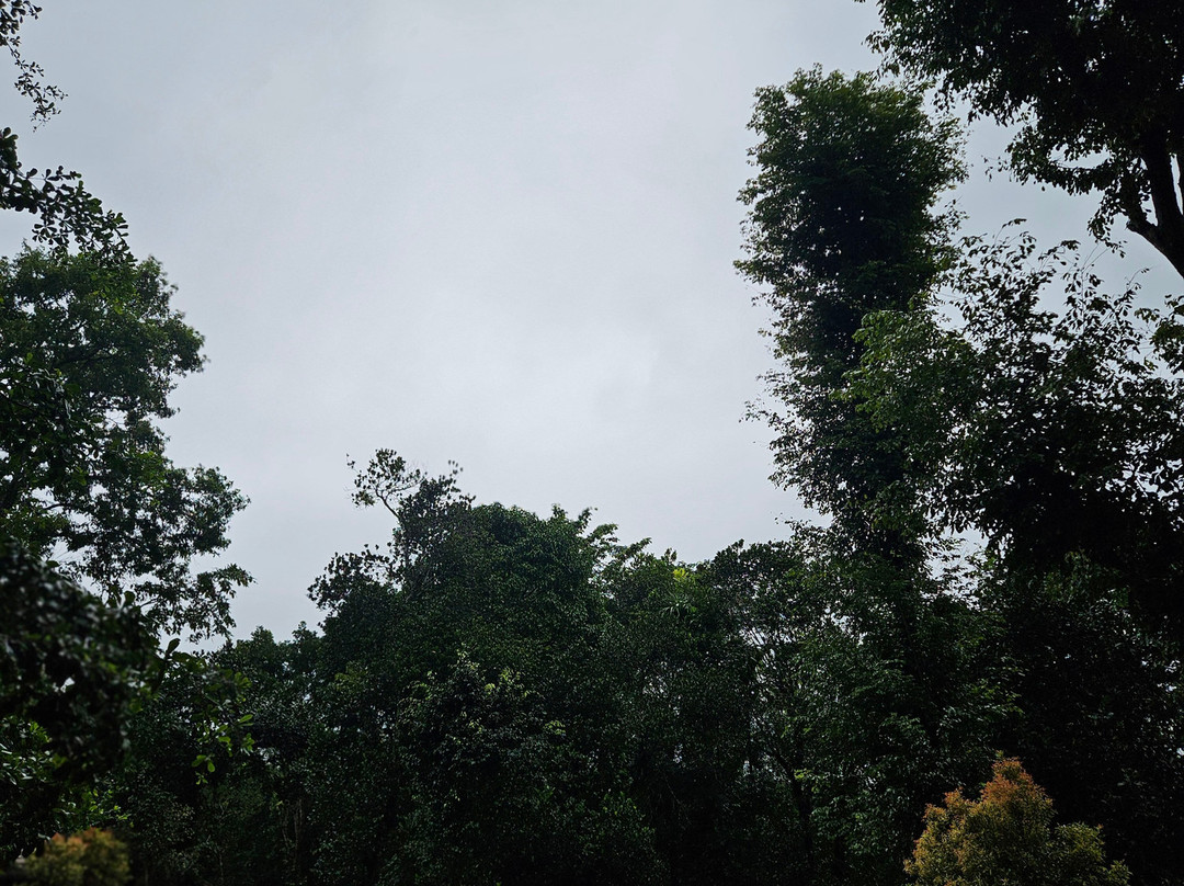 Crystal Kuruva Nature Resort & Spa主图