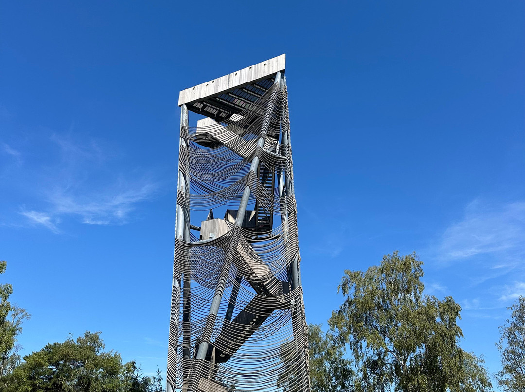 Uitkijktoren Lommelse Sahara-洛默尔必去景点