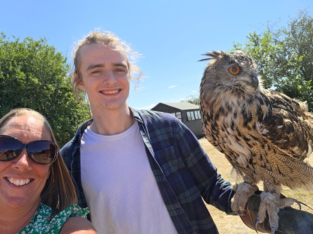 Feathers and Fur Falconry Centre-布拉克内尔必去景点