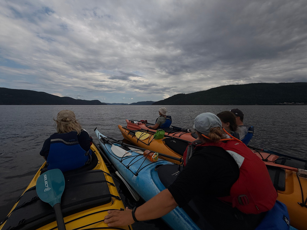 Fjord en kayak-L'Anse-Saint-Jean必去景点