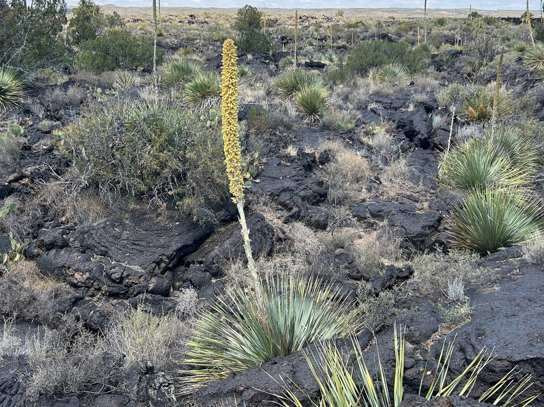 Valley of Fires Recreation Area-Carrizozo必去景点