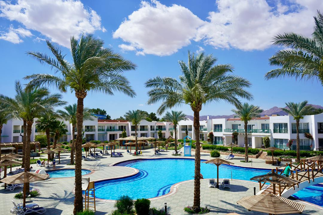 Al Tur酒店住宿-Panorama Naama Heights