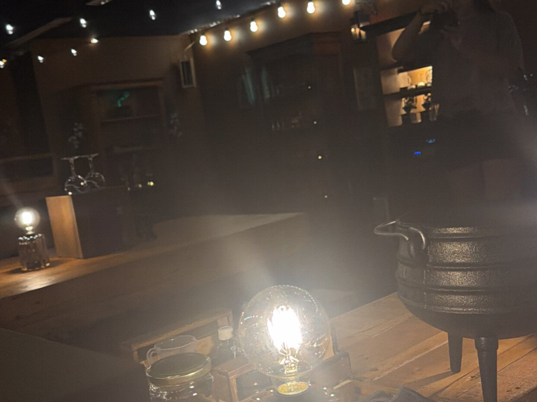 Elixer Room-海牙必去景点