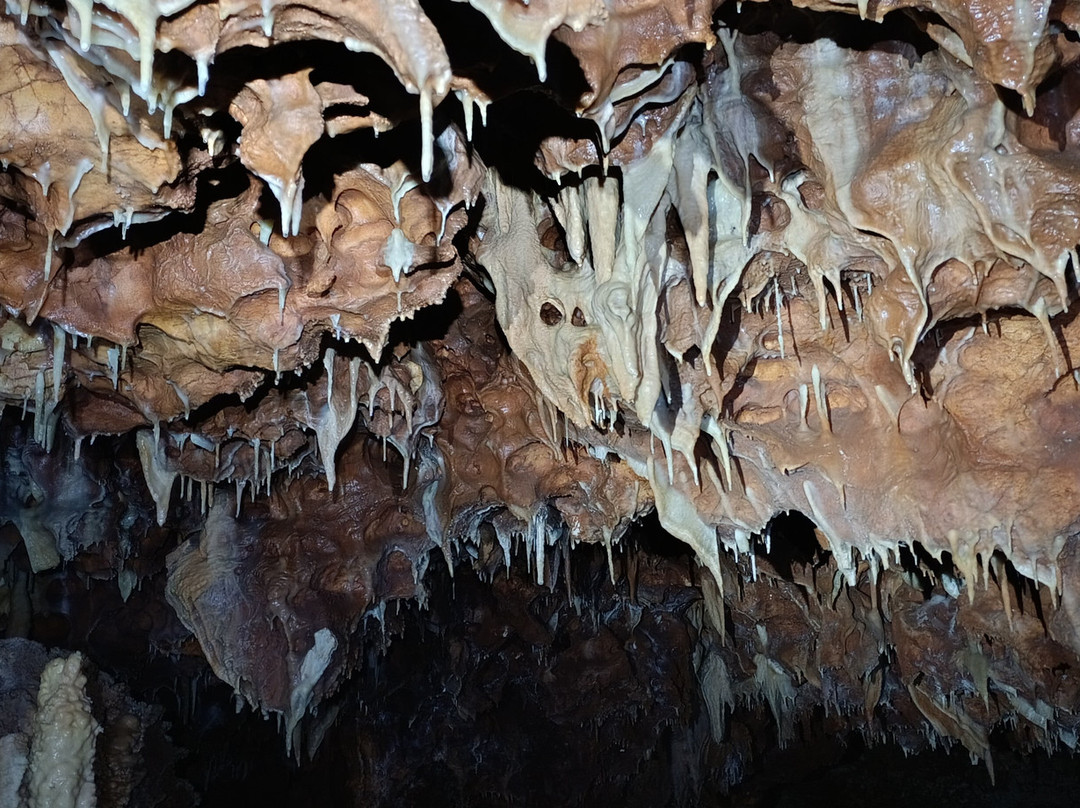 Aven Grotte Forestière-Orgnac-l'Aven必去景点