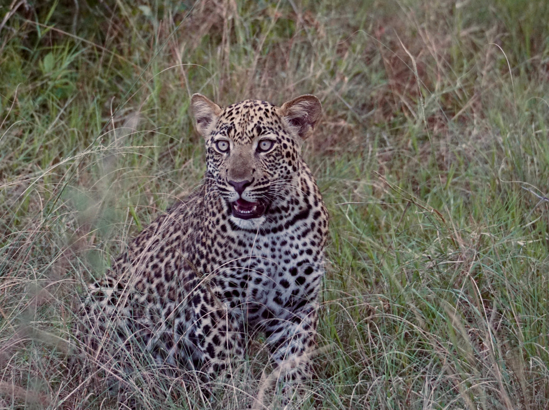 Irembo Africa Safaris Ltd-坎帕拉必去景点