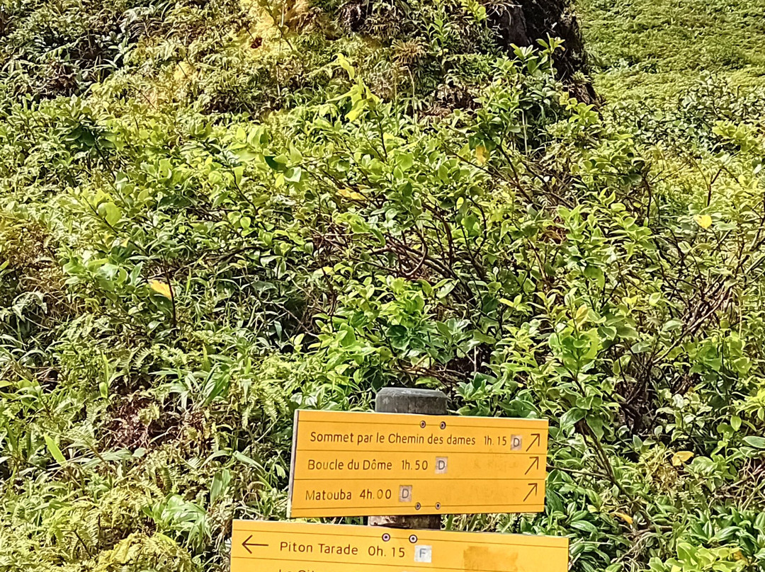 La Soufriere Volcano-Saint-Claude必去景点