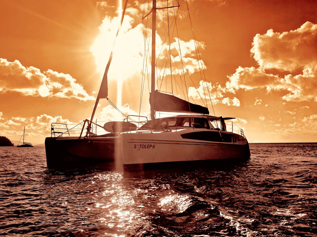 Cumberland Charter Yachts-艾尔利滩必去景点