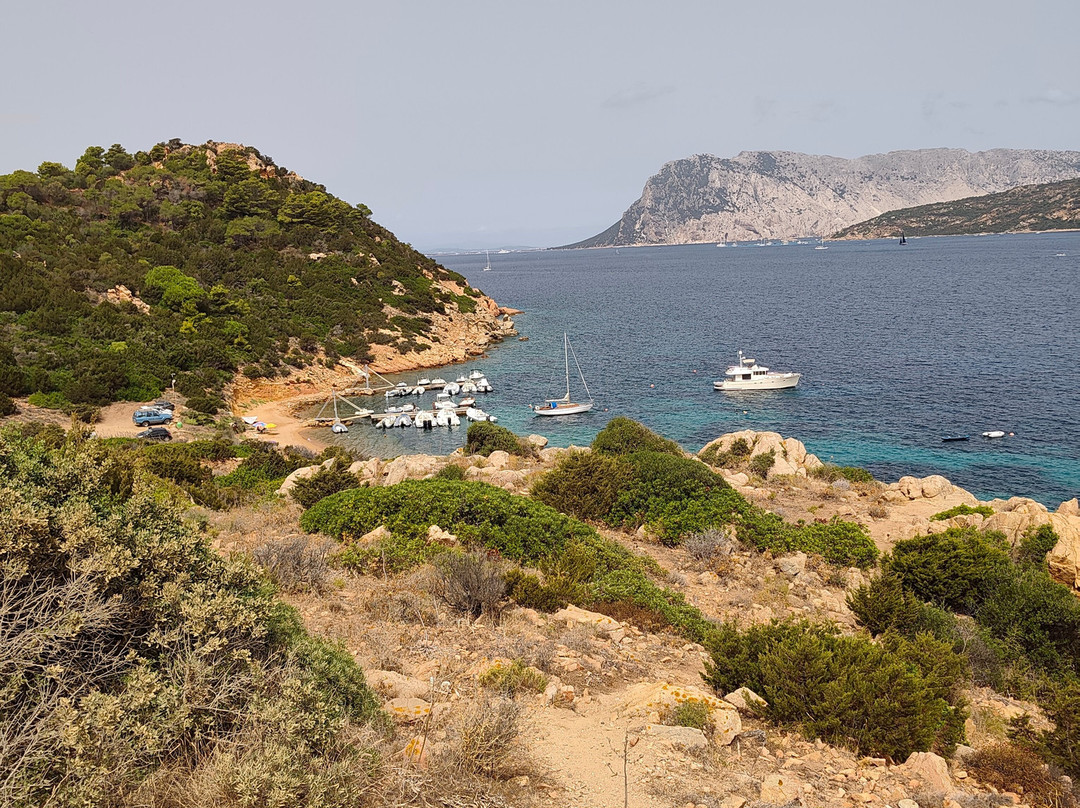 Spiaggia Capo Coda Cavallo-San Teodoro必去景点
