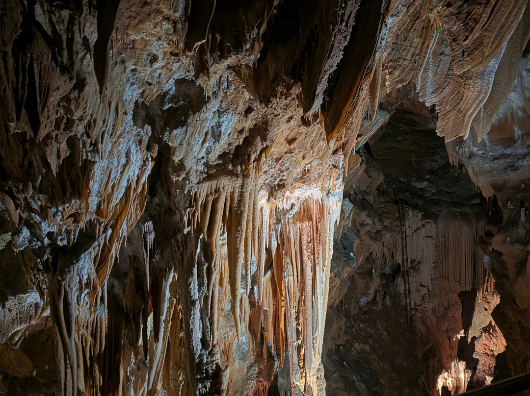 Grotte de la Madeleine-Saint-Remeze必去景点