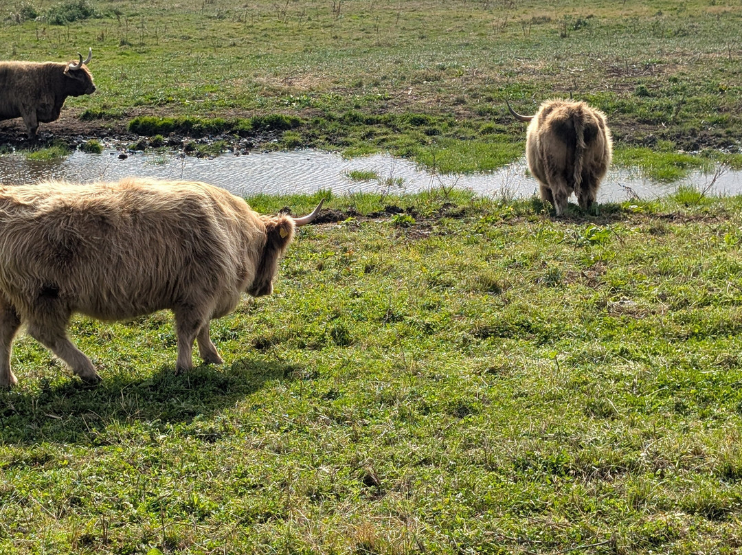 Dumble Farm Conservation-比弗利必去景点