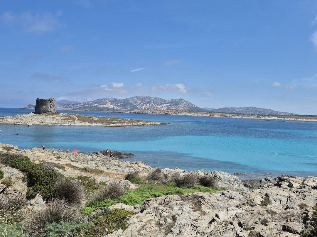 La Pelosa Beach-斯廷蒂诺必去景点