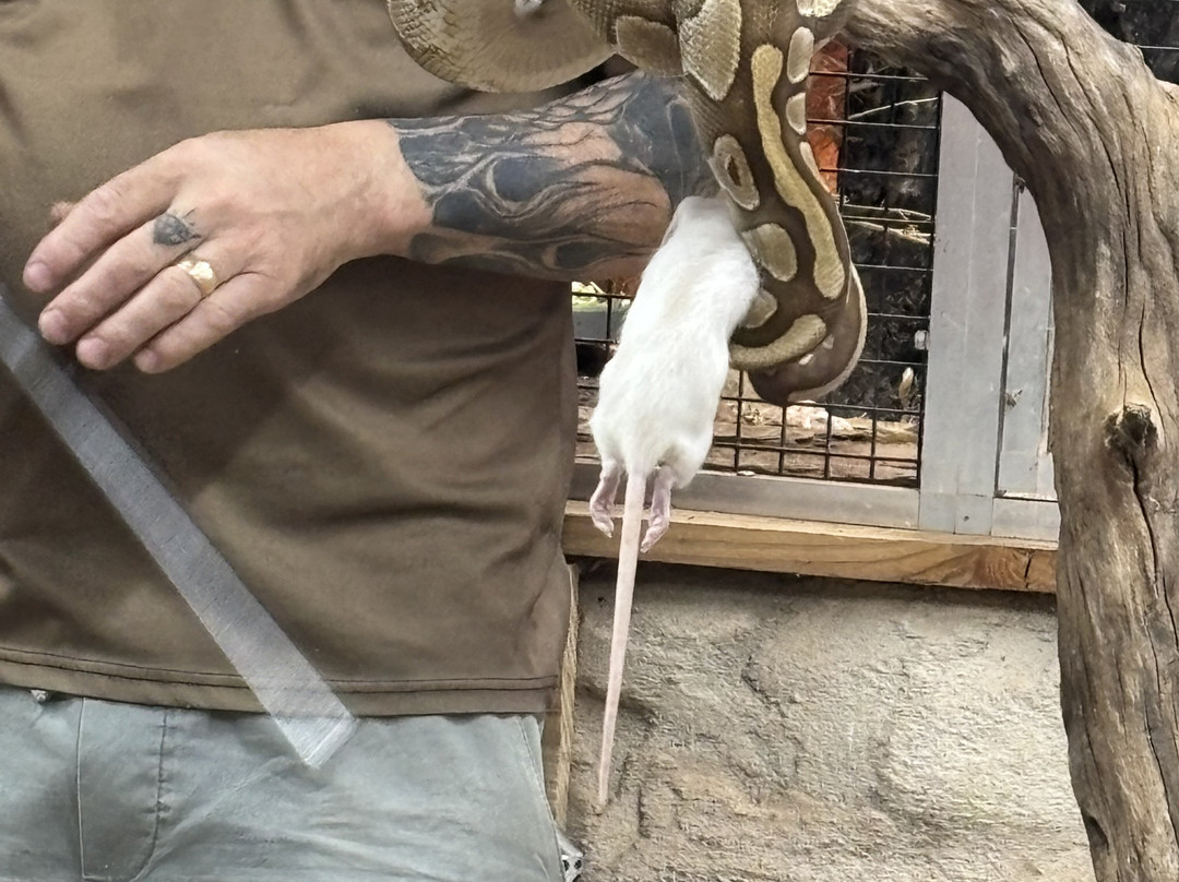 Padiparc - Parc Zoologique-Padirac必去景点