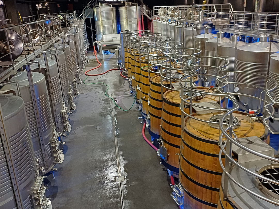 Bodegas Regina Viarum-Sober必去景点