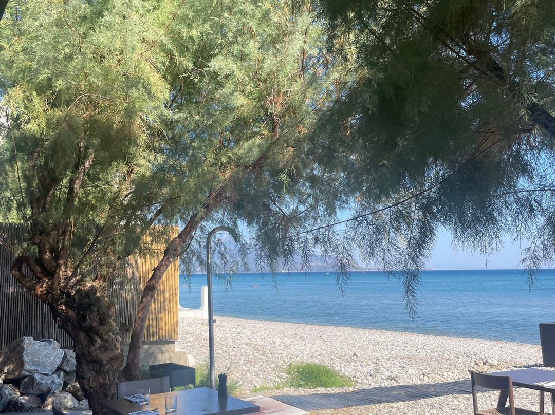 Casa Cook Samos 凯撒库克萨摩斯主图