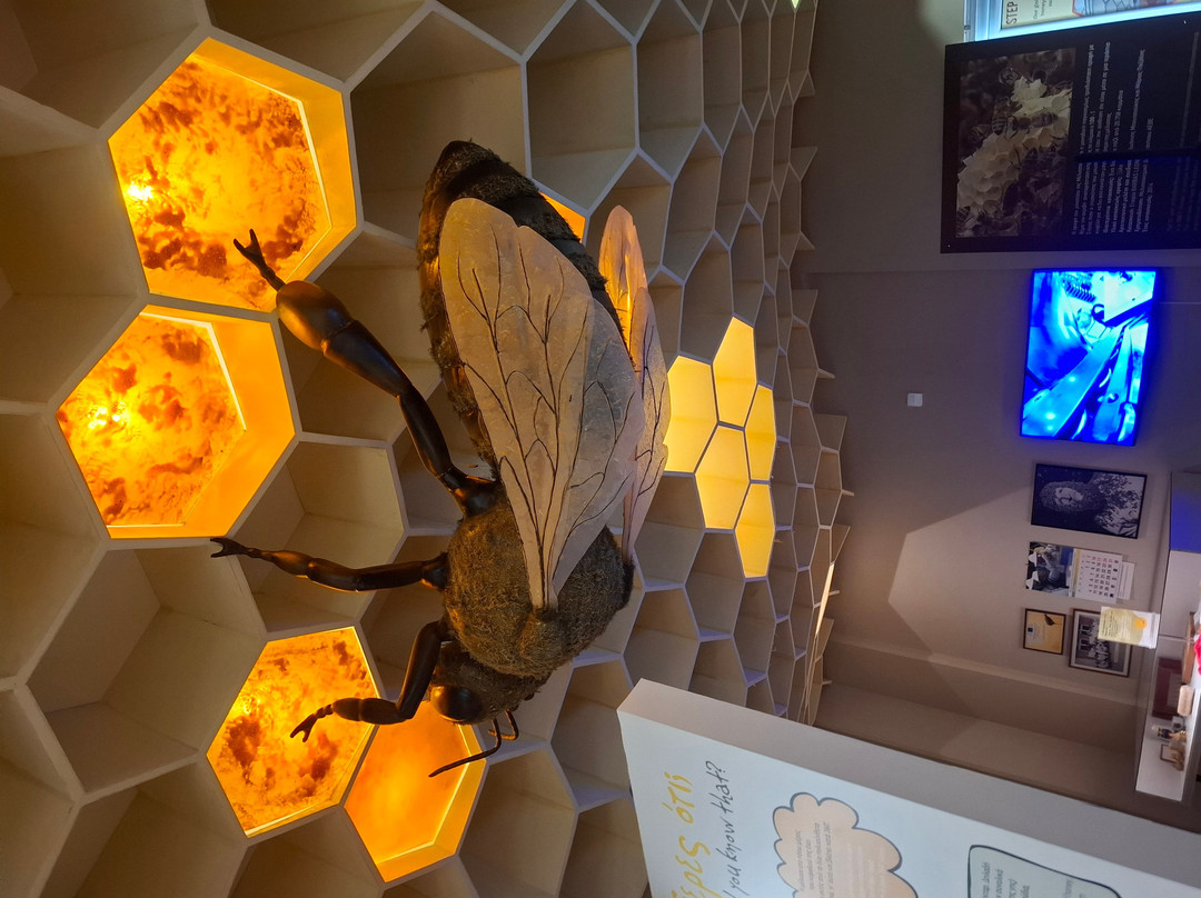 Bee Museum-Pastida必去景点