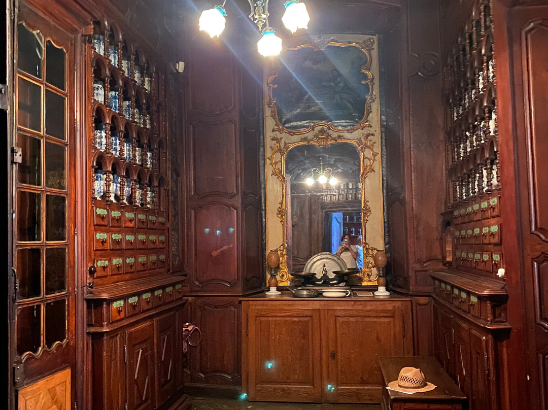 Hôtel-Dieu de Lons-le-Saunier-隆勒索涅必去景点