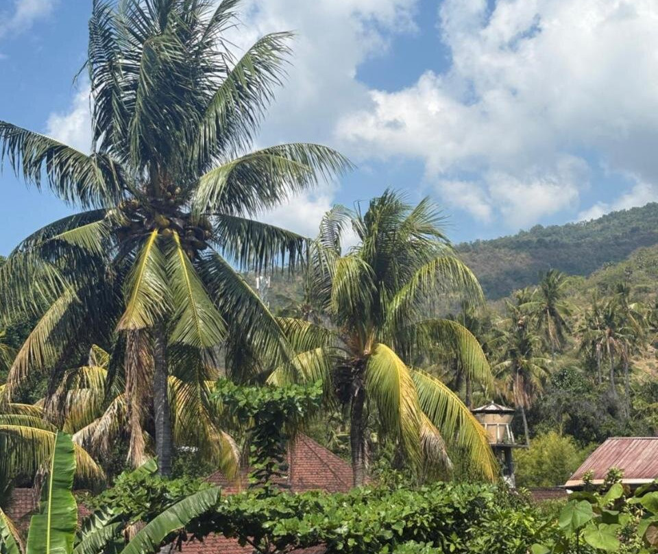 Ole Homestay