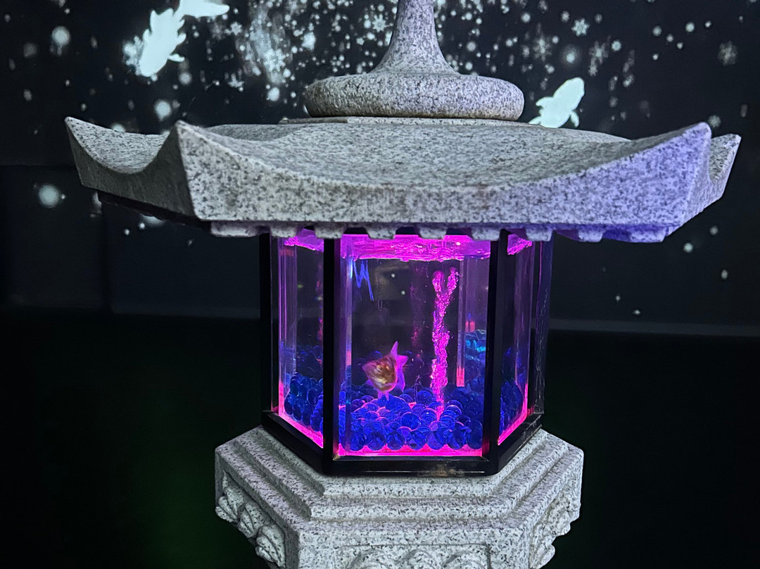 Art Aquarium-Ginza必去景点