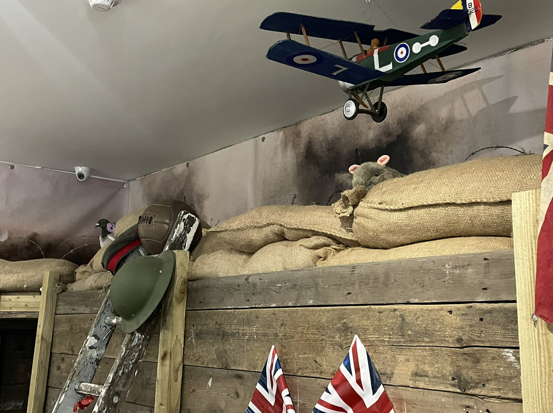 Porthcawl Museum-Porthcawl必去景点