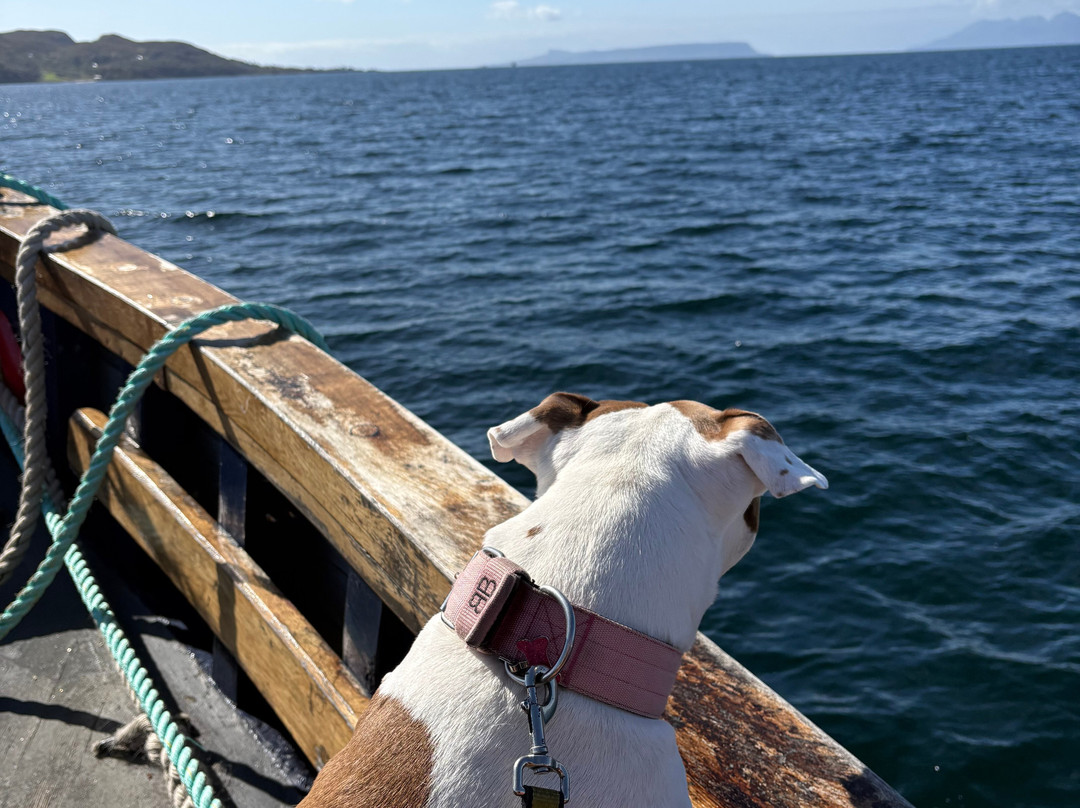 Western Isles Cruises-Mallaig必去景点