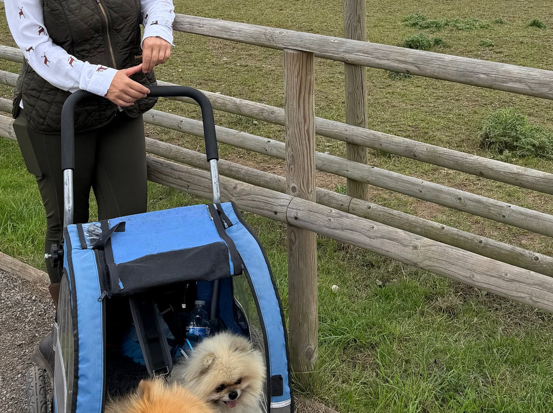 Jimmy's Farm & Wildlife Park-伊普斯威奇必去景点