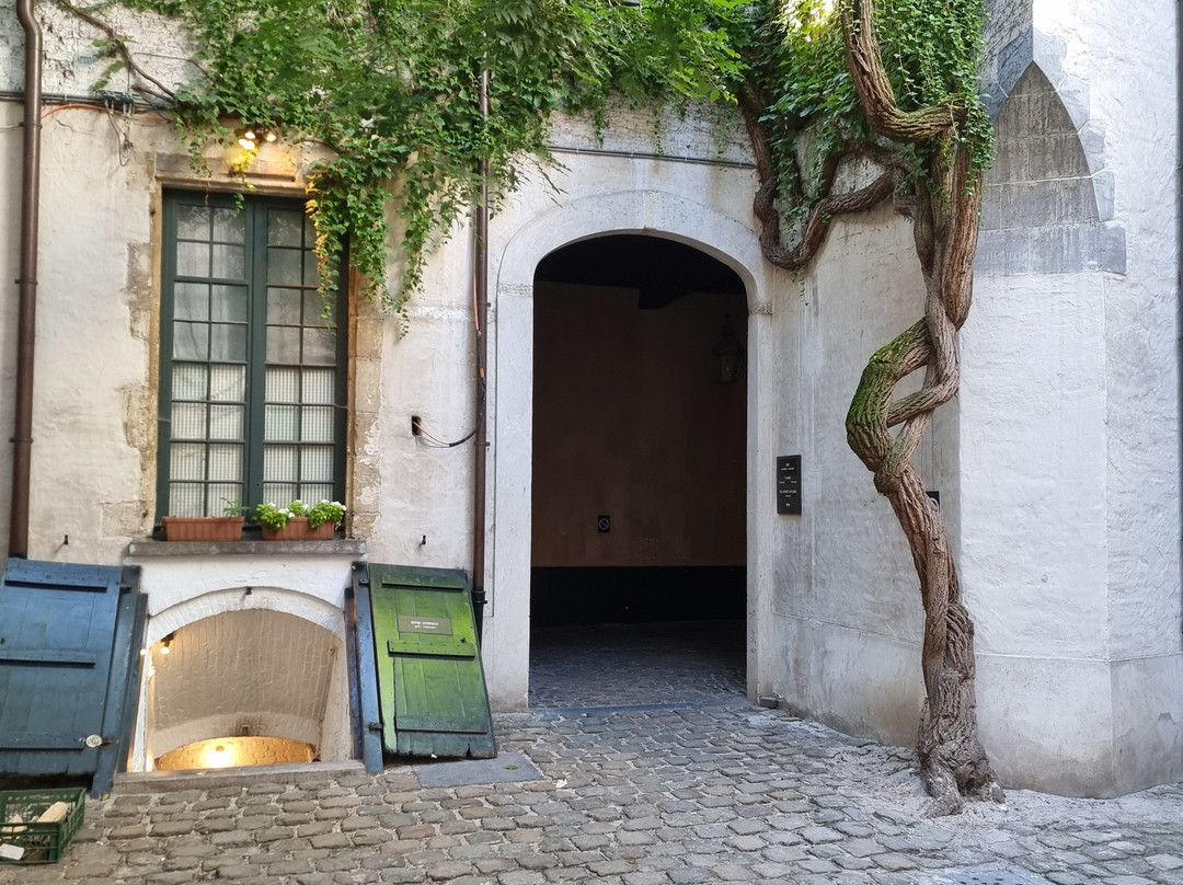 Illusion Antwerpen