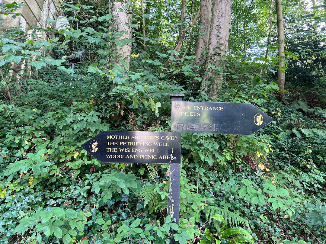 Mother Shipton's Cave-Knaresborough必去景点