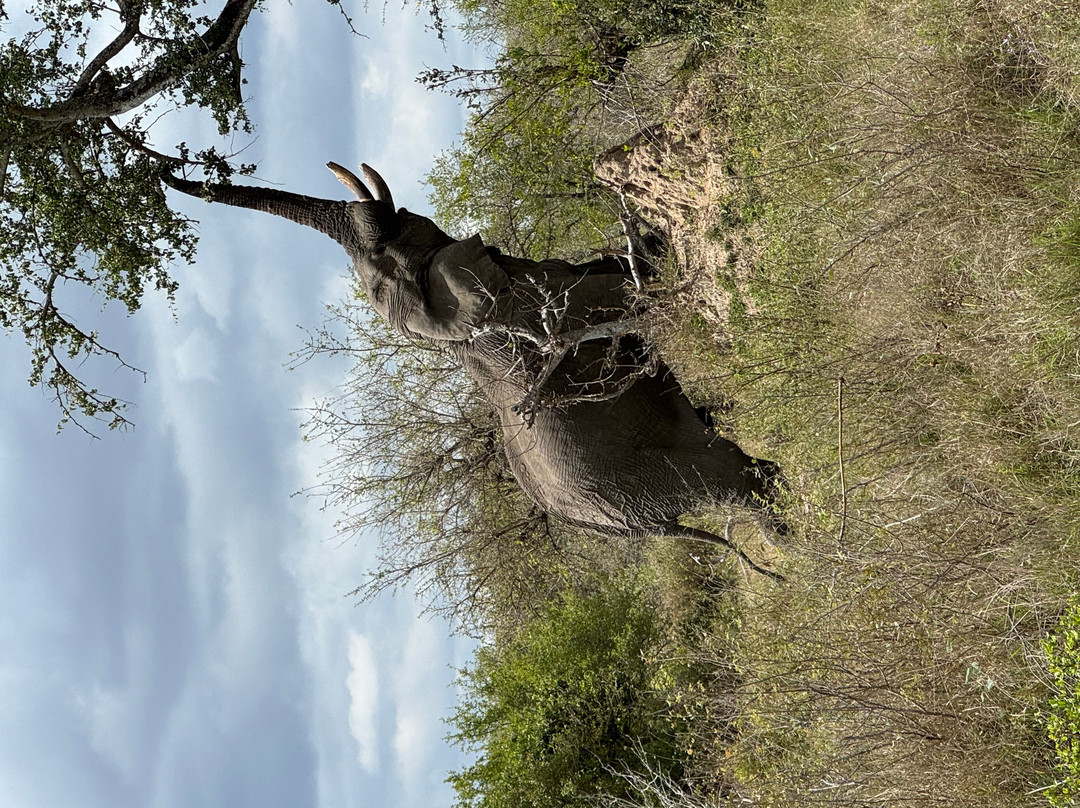 Lihlosi Safari and Touring-马里兰必去景点
