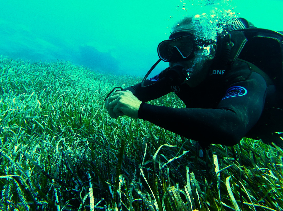 Godive Mykonos Padi Dive Resort-米科诺斯必去景点
