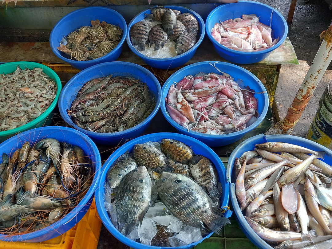 Chinese Fishing Nets-柯钦必去景点