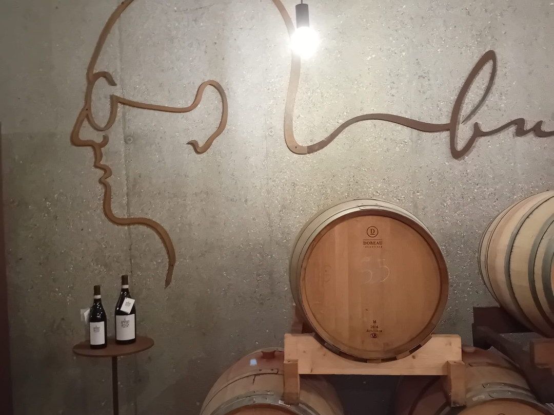 Cantina Pizzolato Società Benefit - Organic Wine Experience-维洛尔巴必去景点