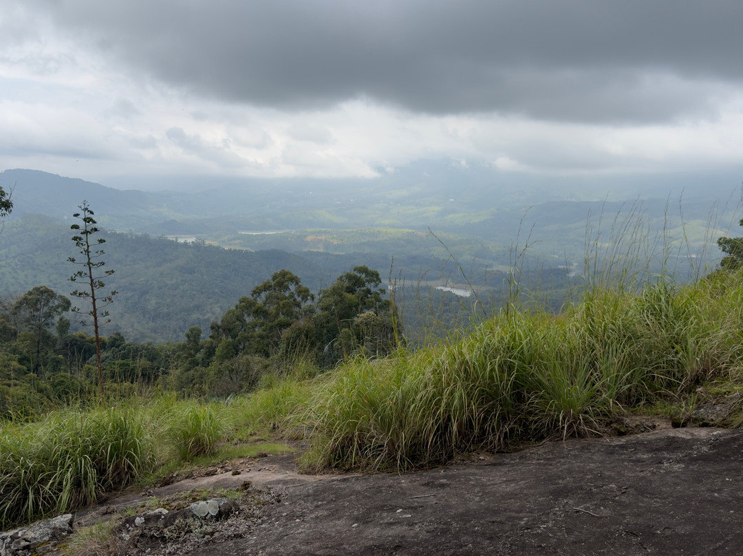Mathikettan Shola National Park-伊杜基必去景点