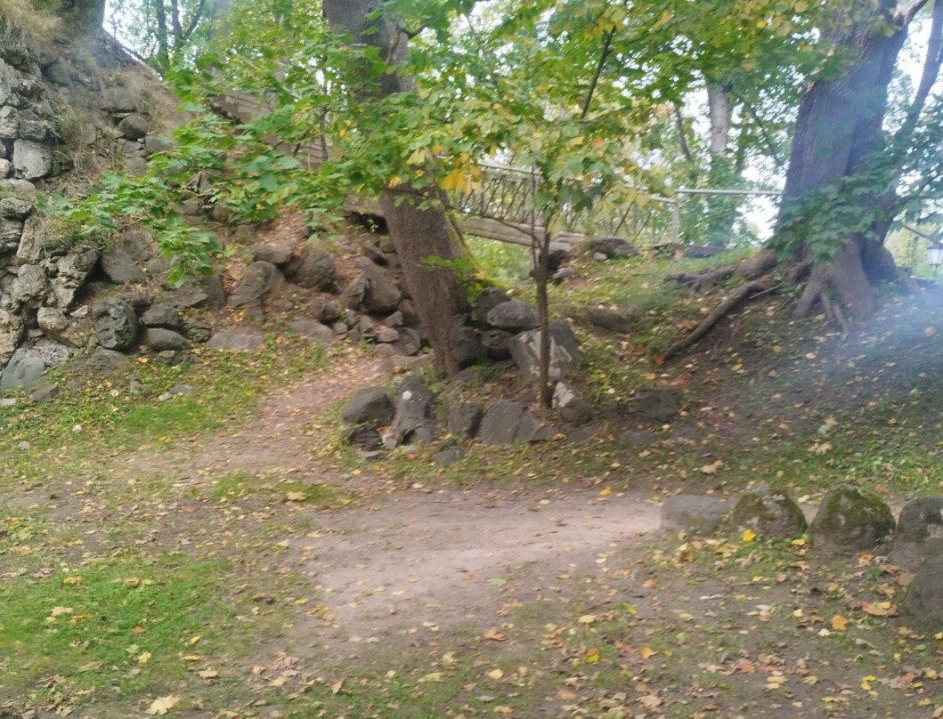 Toome Hill Park (Toomemägi)-塔尔图必去景点