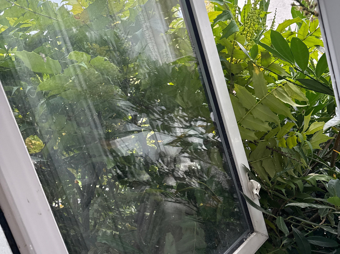 花花公子水疗酒店主图