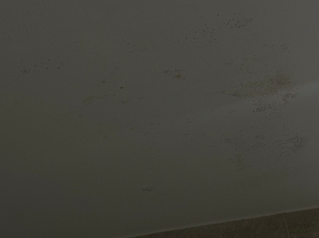 欧罗巴SB广场酒店主图
