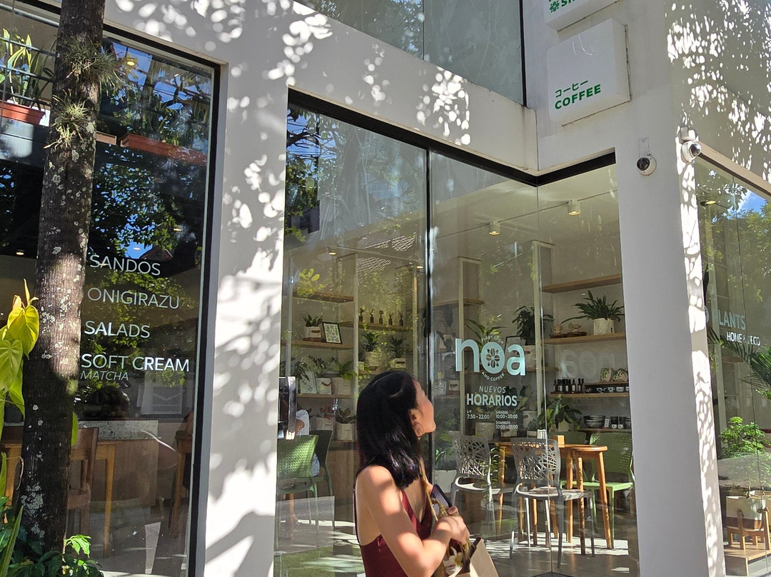 Noa Plantshop and Coffee
