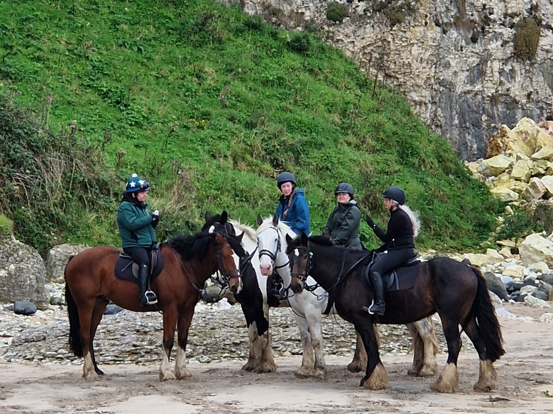 Bespoke Equestrian Ireland-都柏林必去景点