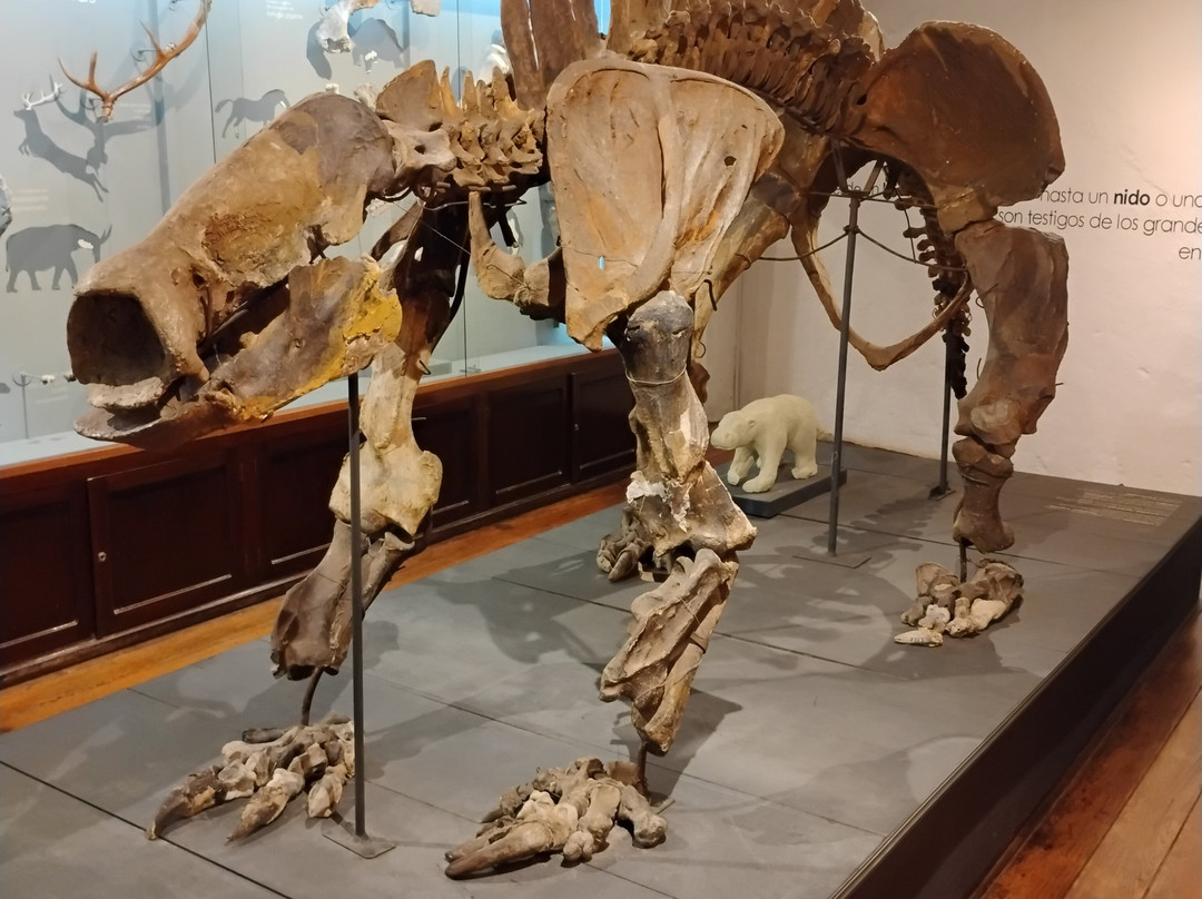 Museo Paleontologico-科洛尼亚·德尔萨克拉门托城必去景点