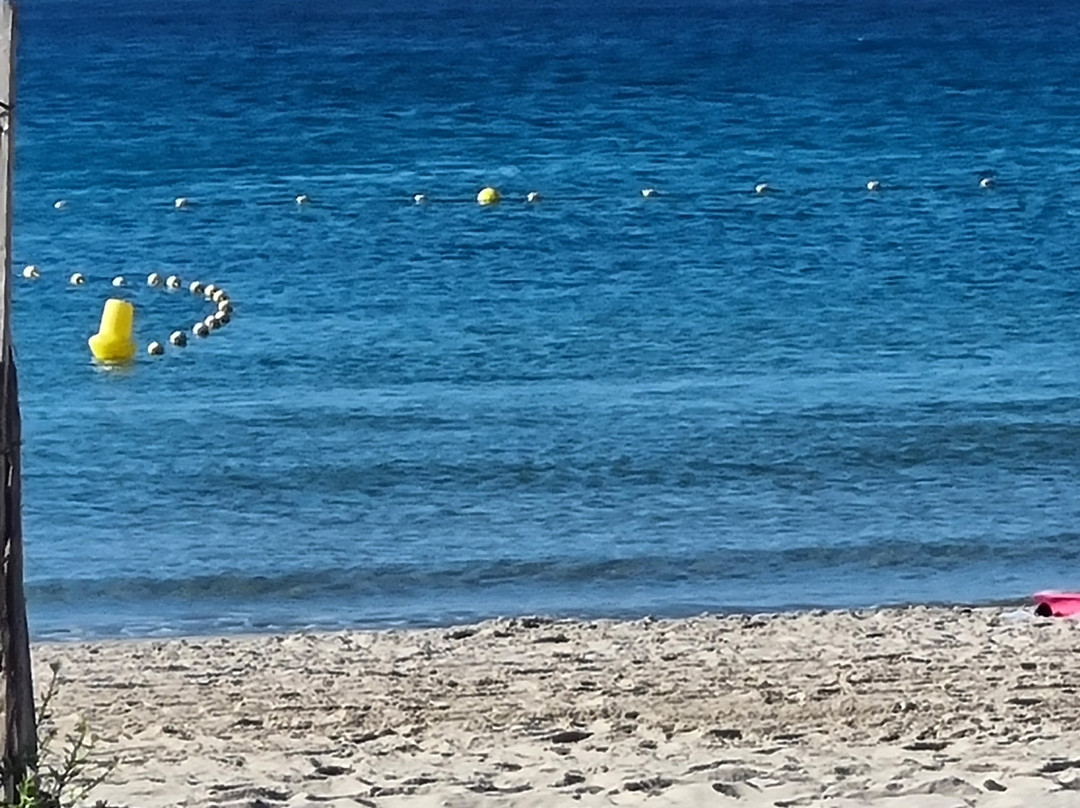 Plage des Sablettes-滨海拉塞纳必去景点
