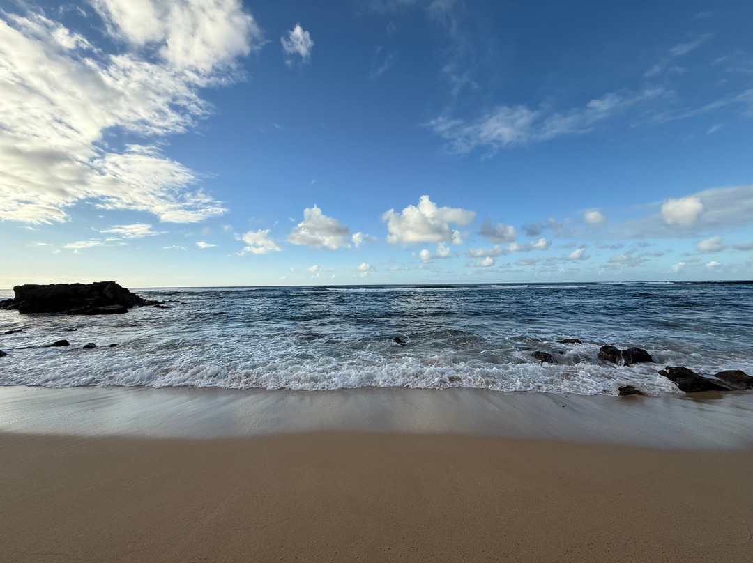 Turtle Bay Beach-卡胡库必去景点