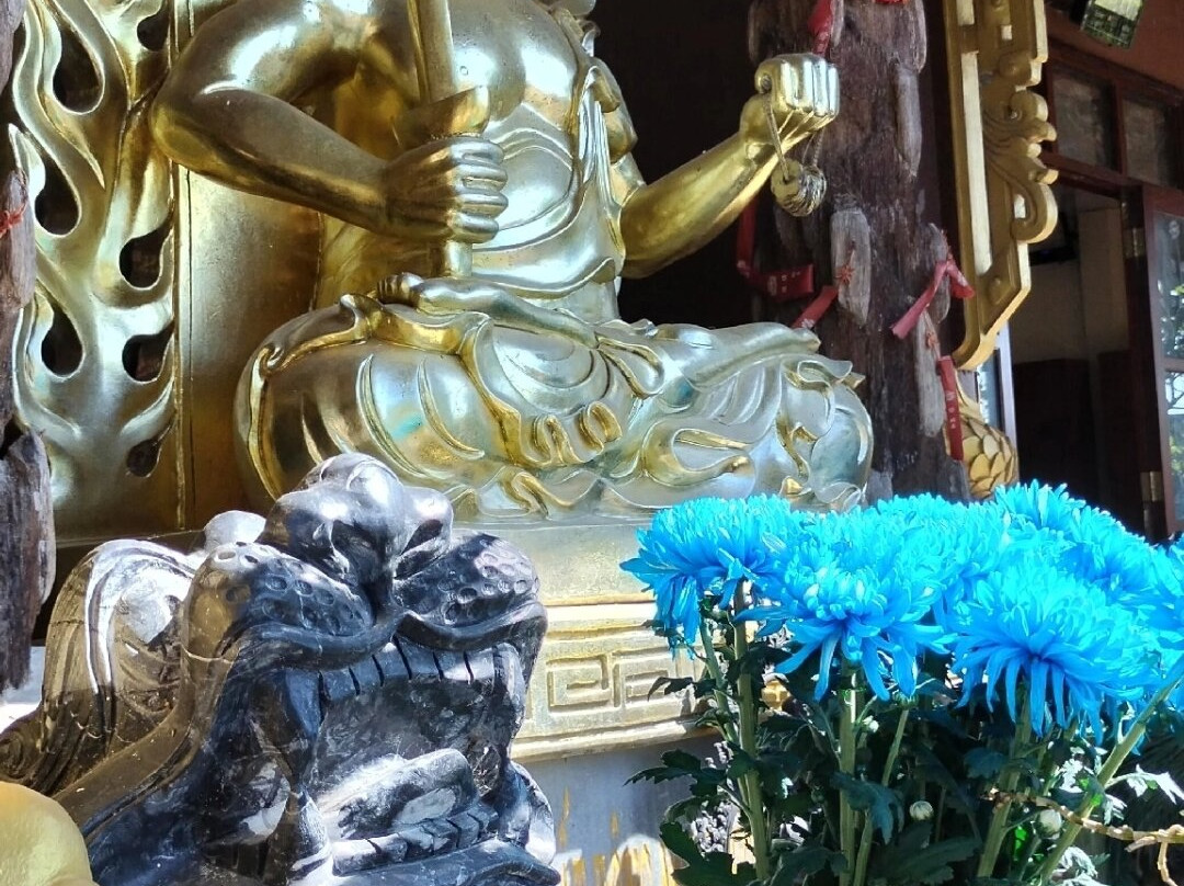 Linh Long Tu Temple-美奈必去景点