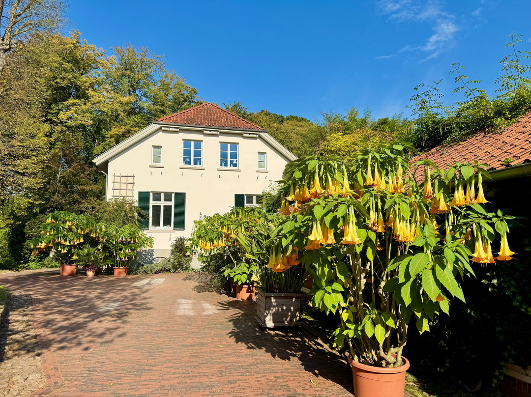 Oldenburger Schlossgarten-奥尔登堡必去景点