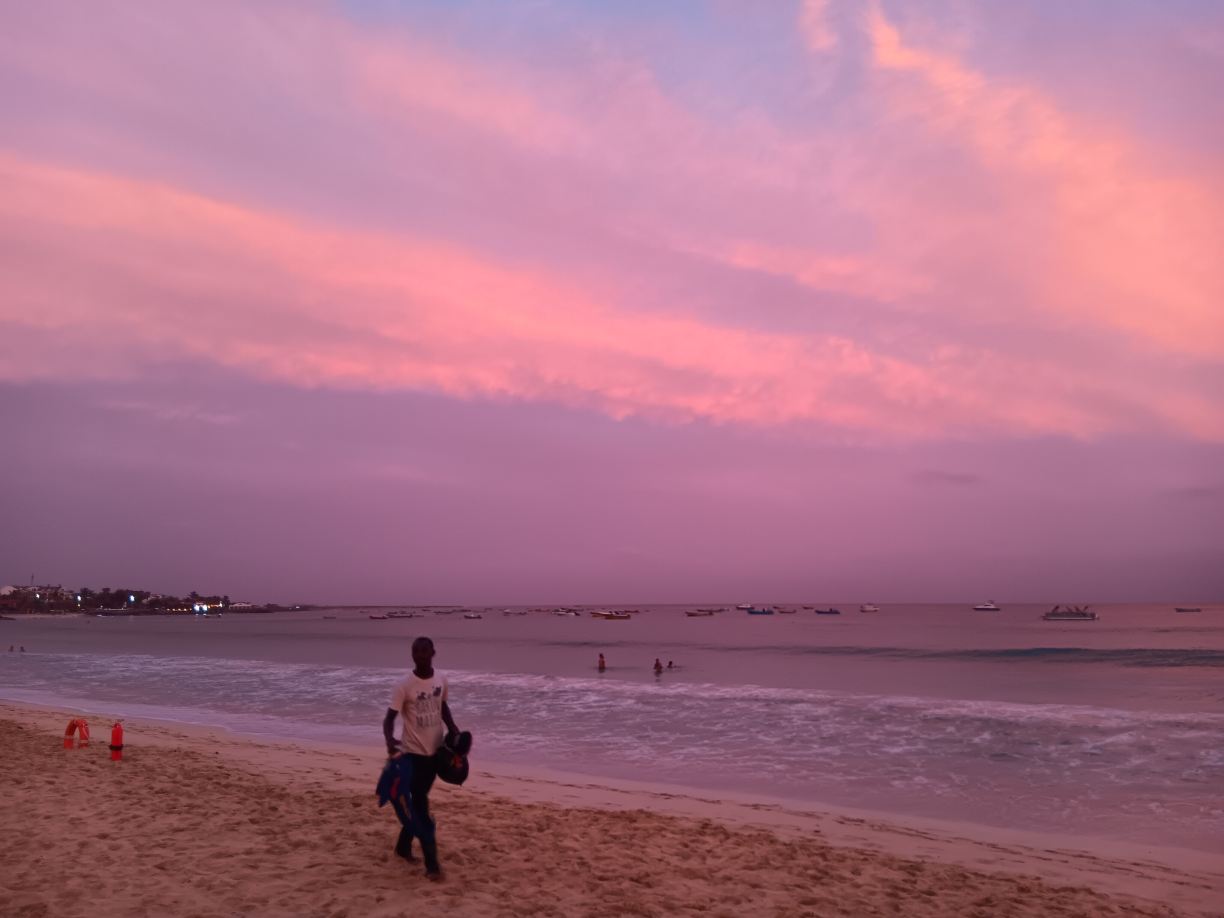 绿洲萨利纳斯海酒店-旅行者