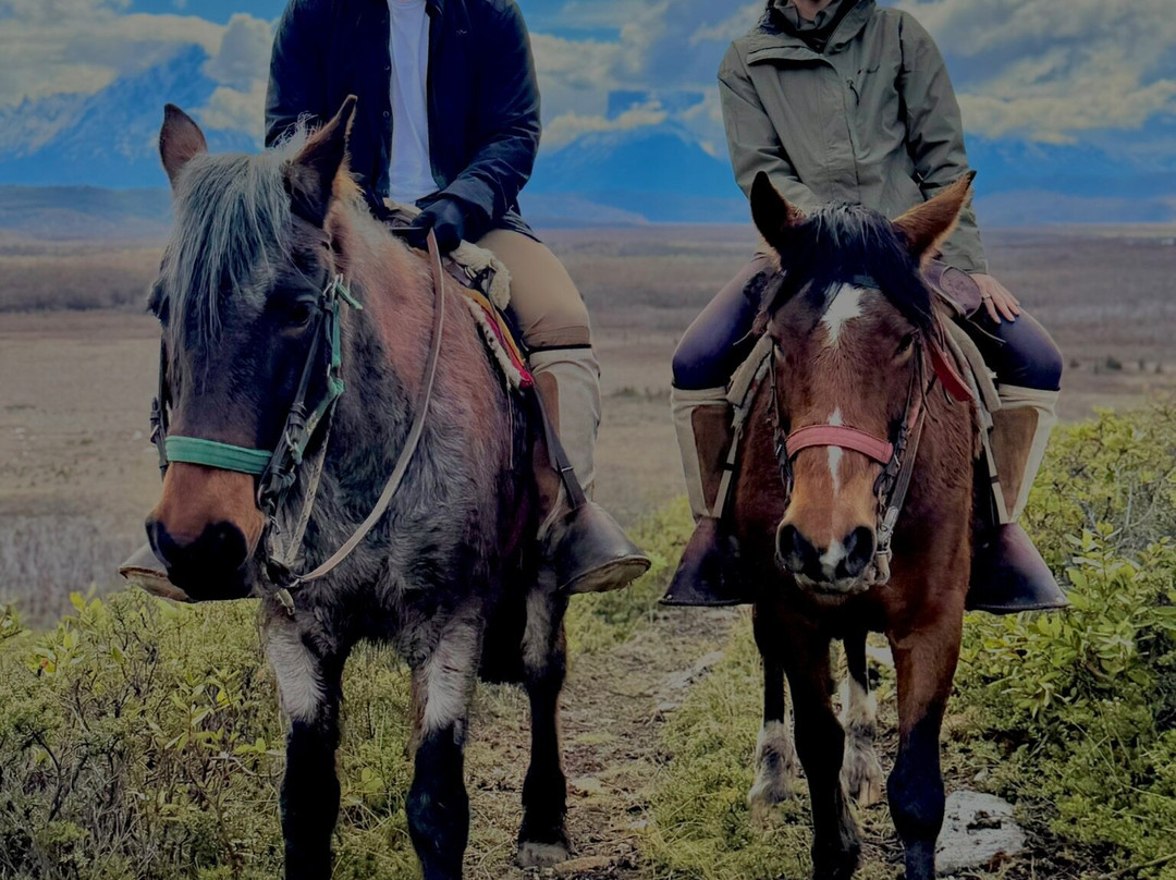 Cimarrón Tours - Torres del  Paine-Torres del Paine必去景点