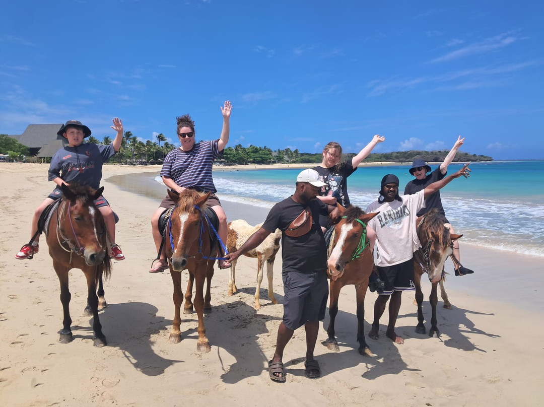Toga Fiji Tours