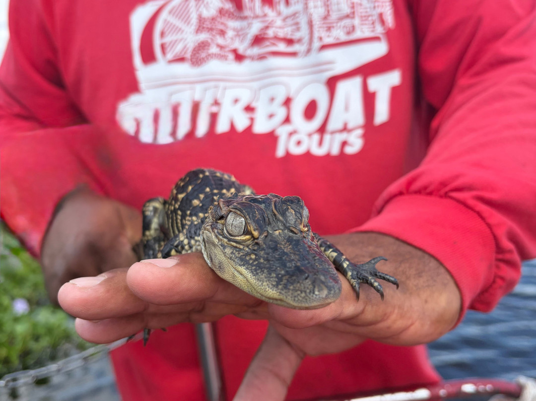 New Orleans Airboat Tours-Marrero必去景点