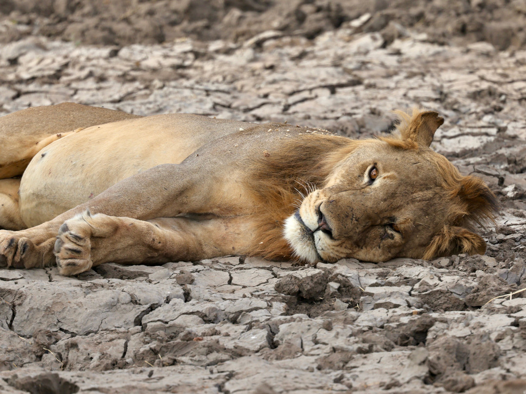 Tanzania Roadside Expeditions-阿鲁沙必去景点