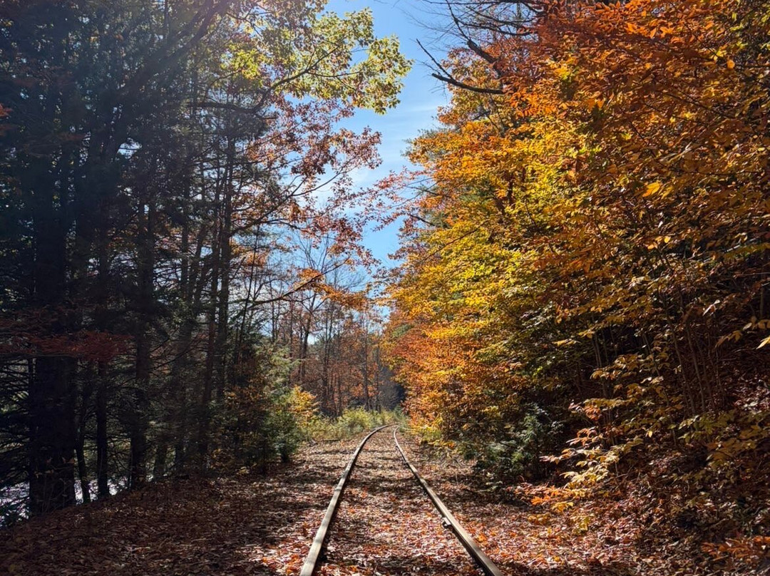 Revolution Rail Co. Thurman-Warrensburg必去景点
