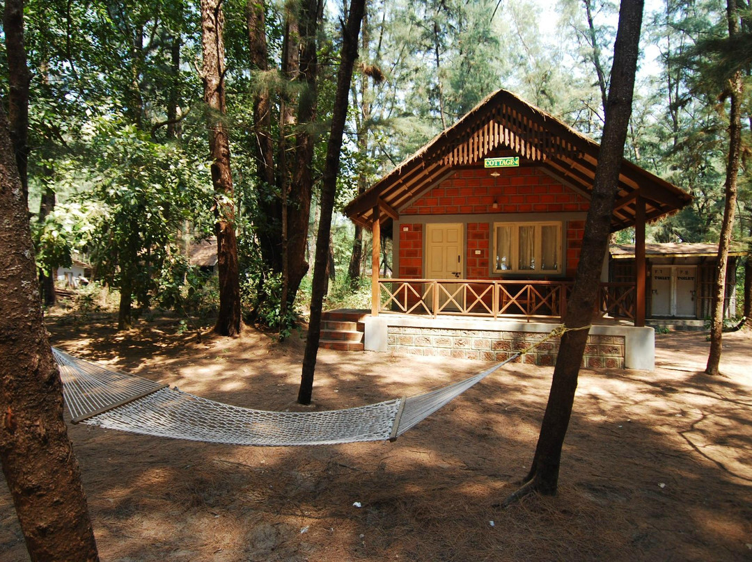 Karwar酒店住宿-Jungle Lodges Devbagh Beach Resort