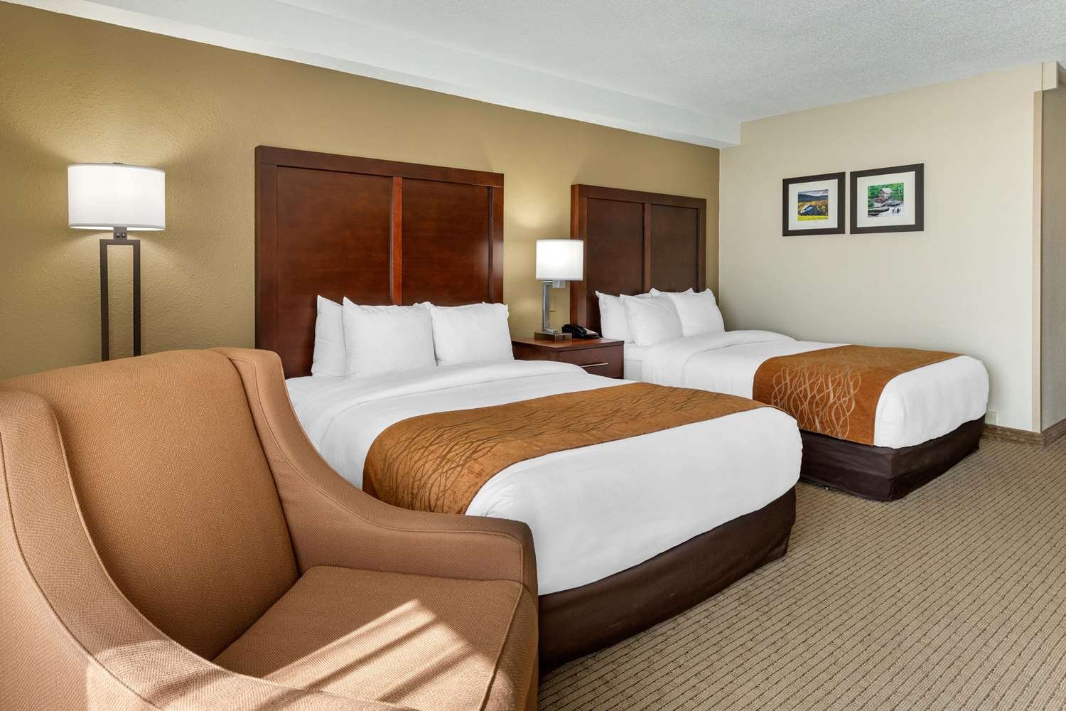 Comfort Inn & Suites-官方